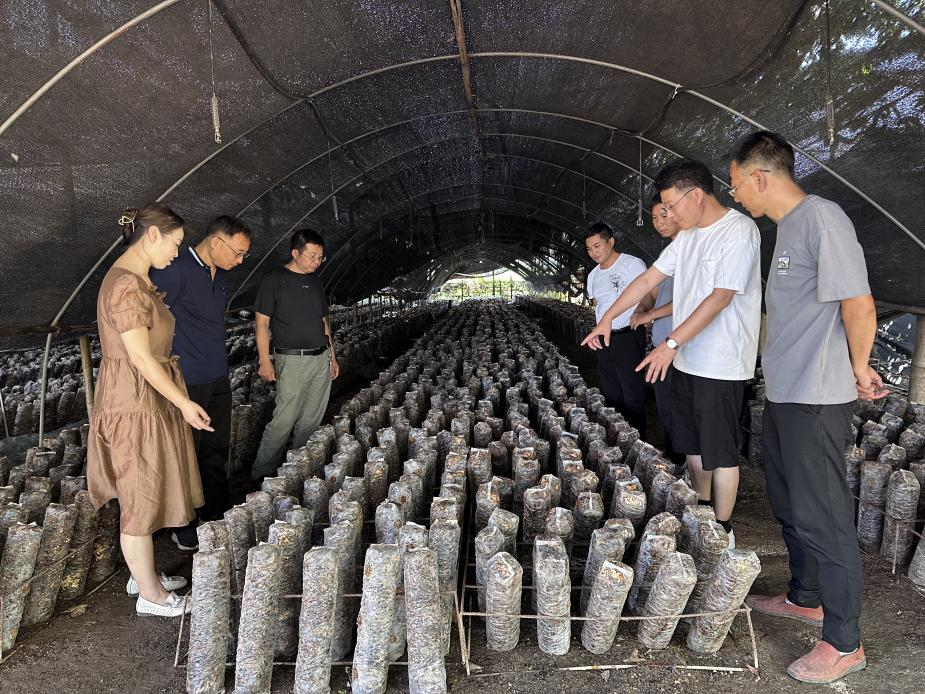 图片3.png 图片3.png