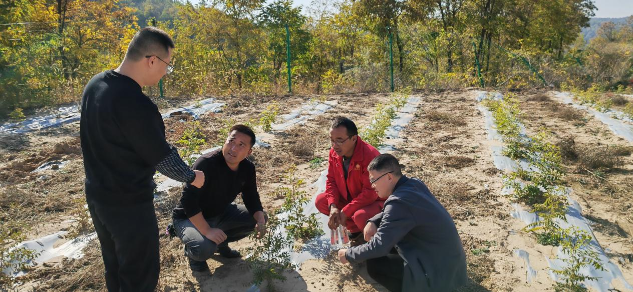 图片1.png 图片1.png