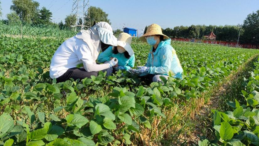 图片2.png 图片2.png